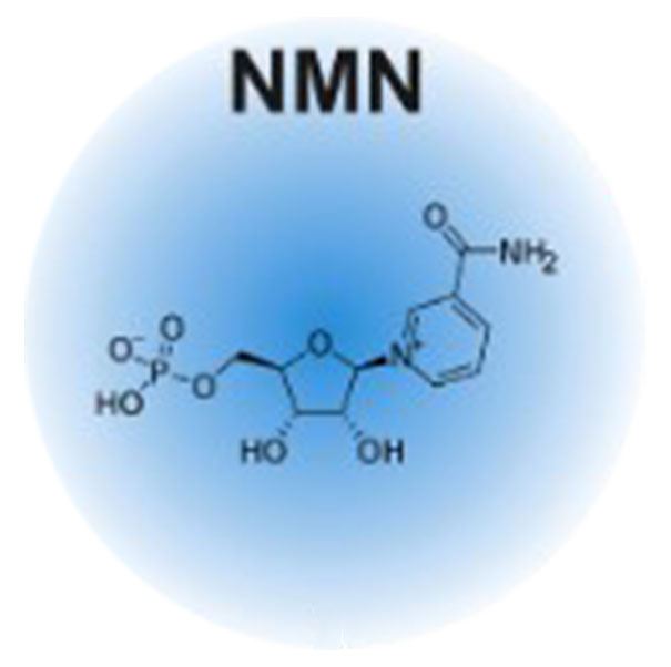 NMN supplements