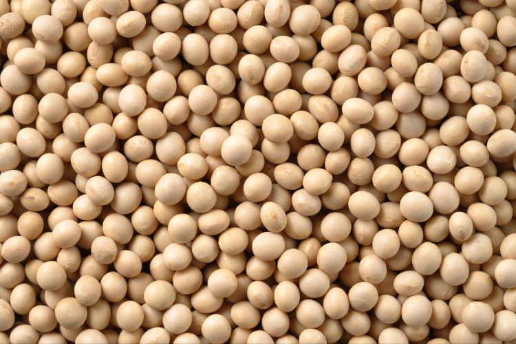 Glycine Supplement